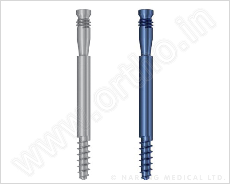 Anti-Rotation Screw For Femoral Neck System