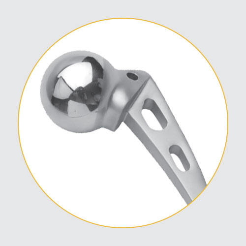 Hip Prosthesis - Manufacturer and supplier of orthopaedic implants