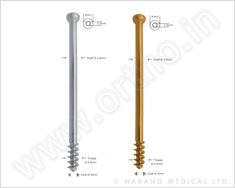 Cancellous Bone Screw Ø 6.5mm, 16mm Thread