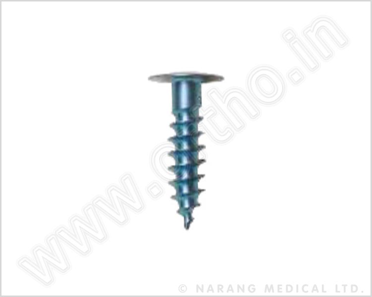Fixation Screw – Titanium Dia.: 6.5mm x Length: 30mm