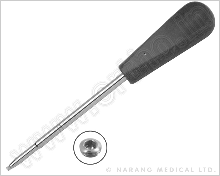 Hexagonal Screw Driver, 2.5mm Tip (To be used with 2.7mm Ø Safety Lock Screws)