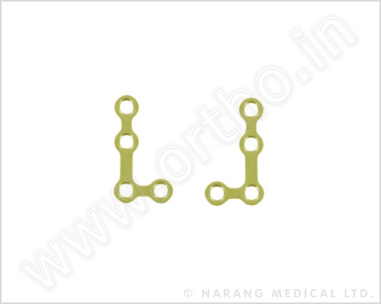 L-Plate