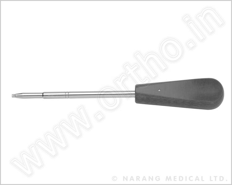 P301.040 - Hexagonal Screw Driver 2.5mm Tip
