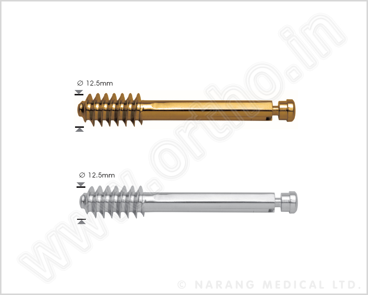 Standard Lag Screw, Ø 12.5mm (with Compression Screw)