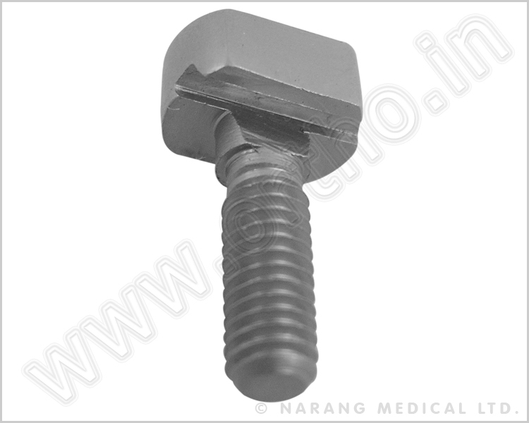  Wire Fixation Bolt - Slotted, SS