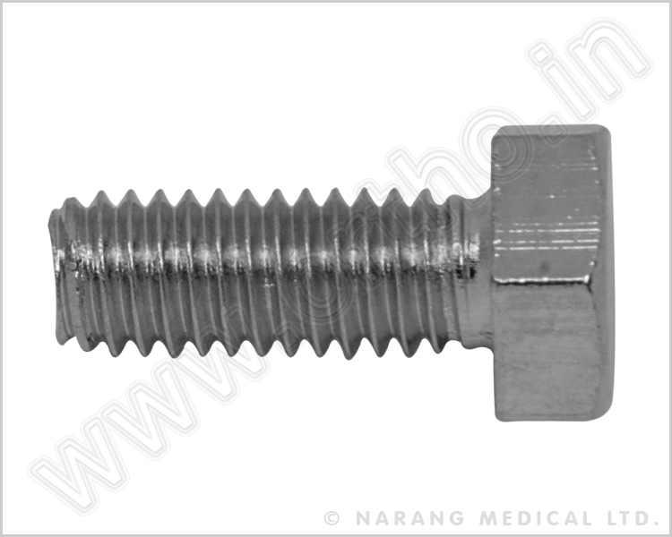   Connection Bolt, SS 