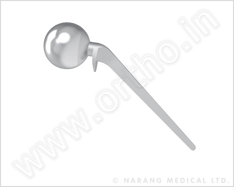 L Hip Prosthesis Stainless Steel