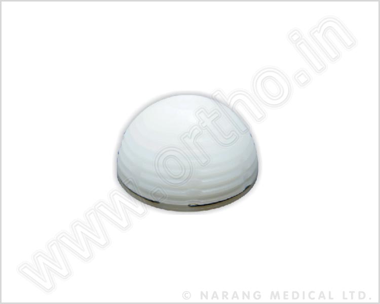 Acetabular Cup (Cemented)