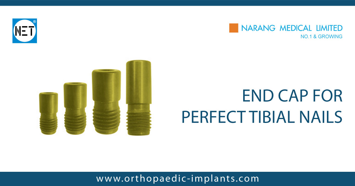 End Cap for Perfect Nails, End Cap for Perfect Nails Manufacturer, End