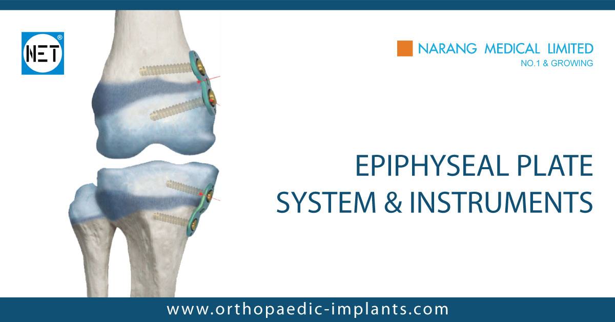 What Type Of Joint Is Epiphyseal Plate at Robert blog