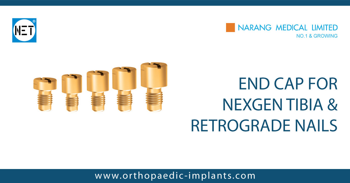 Screws, End Cap & Set Screw, Screws, End Cap & Set Screw Manufacturer