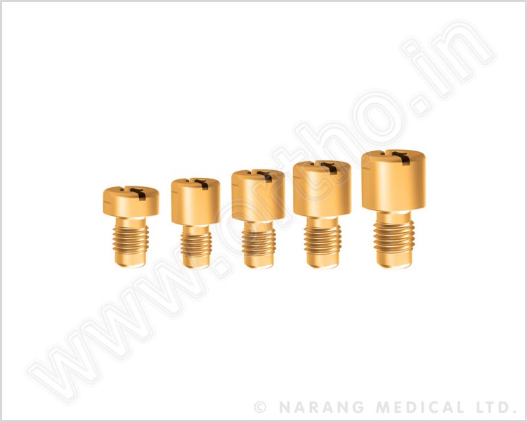 Screws, End Cap & Set Screw, Screws, End Cap & Set Screw Manufacturer