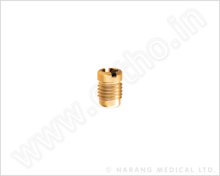 Screws, End Cap & Set Screw, Screws, End Cap & Set Screw Manufacturer