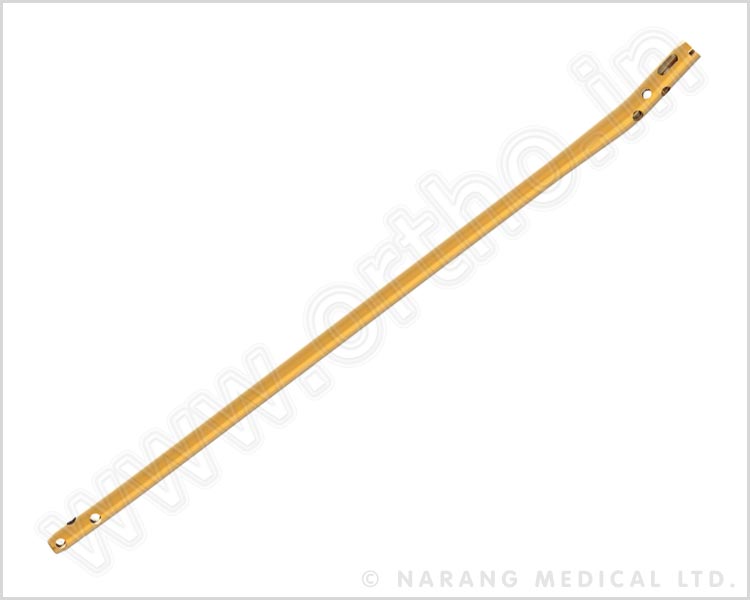 Nexgen Tibial Nail