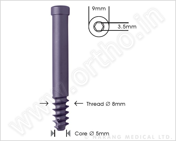 Locking Bolt Ø 8mm Cannulated (Self Tapping)  For Pfn & Recon Nails