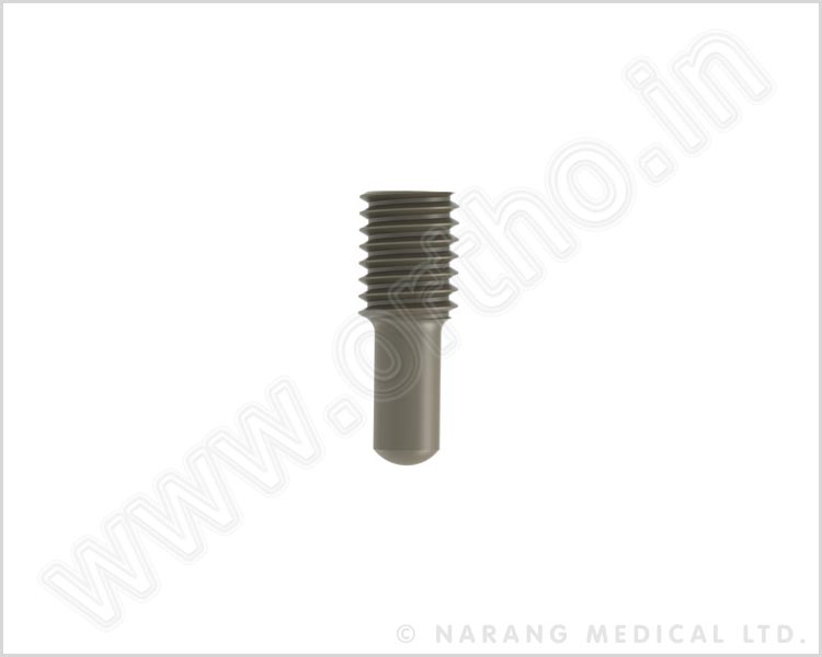 Inner Screw