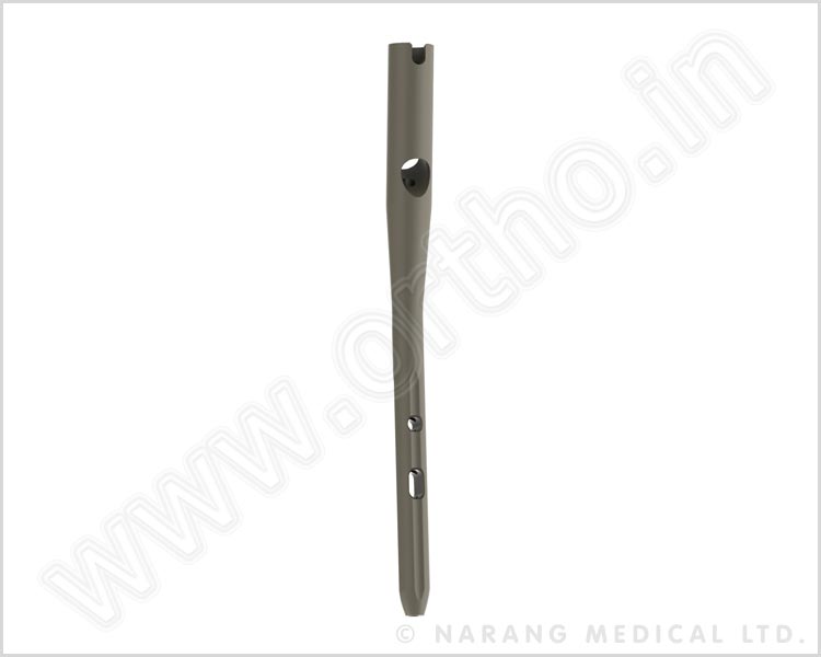 CEPHA Nail - Short