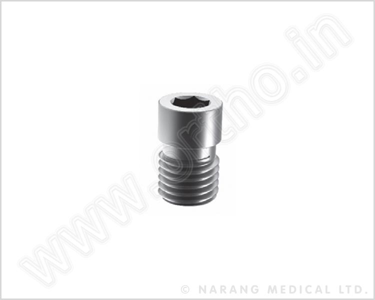 End Cap Retrograde Femoral Nail