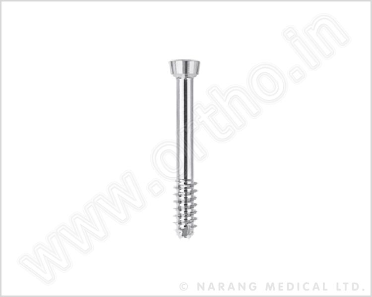 Conical Head Screw Ø7.3mm, Cannulated Self Tapping, Short Thread