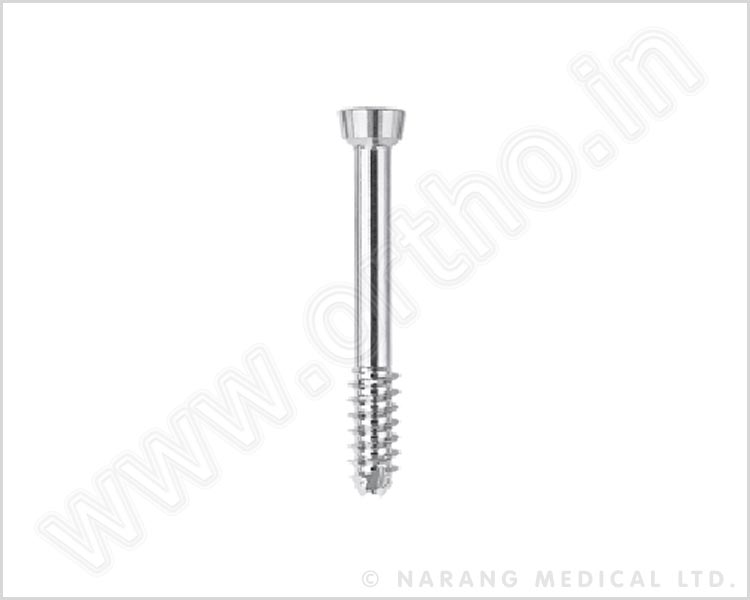 Conical Head Screw Ø5.0mm, Cannulated Self Tapping, Short Thread