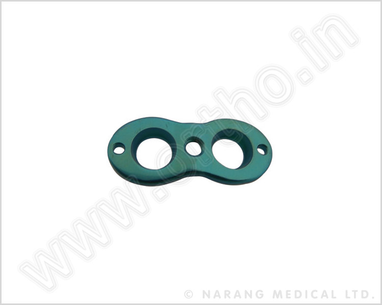 Epiphyseal Plate, Arc-Bridge Shape
