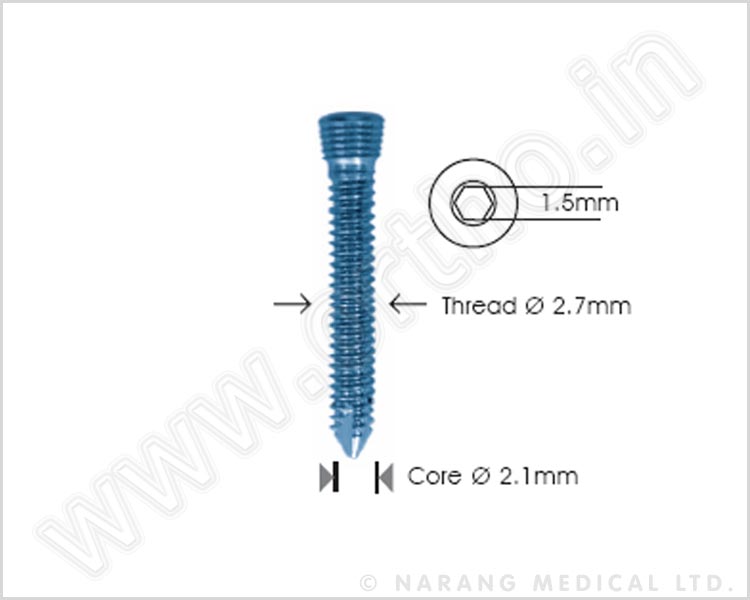 Safety Lock Screw  Ø 2.7mm Self Tapping