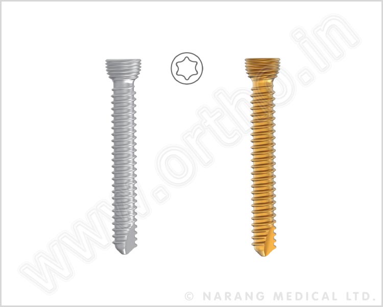 Safety Lock Screw Ø2.7Mm Variable Angle (Star Like), Self Tapping