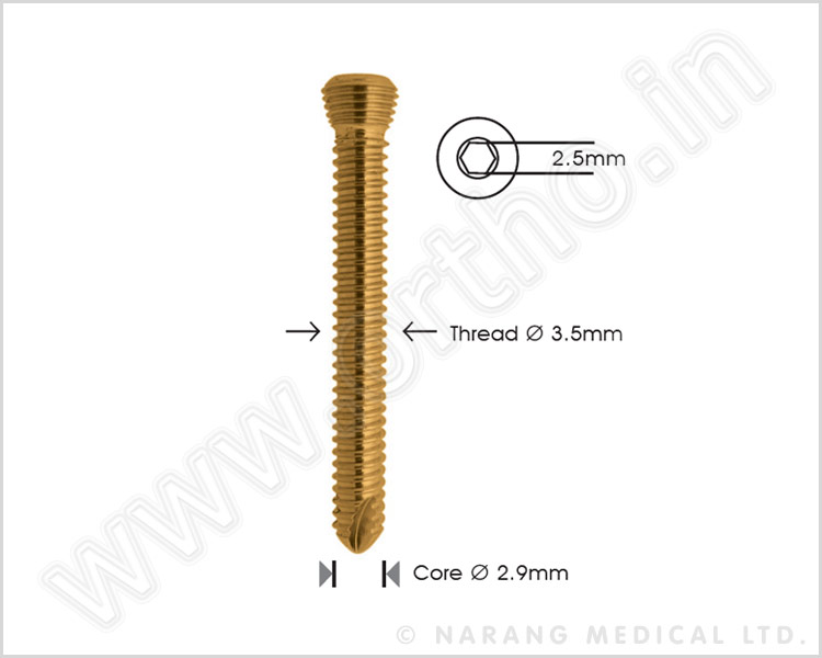 Safety Lock Screw  Ø 3.5mm Self Tapping