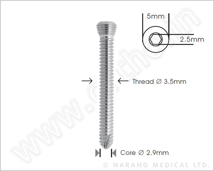 Safety Lock Screw Ø 3.5mm, SS, Self Tapping,Length 10, 12, 14, 16, 18, 20, 22 & 24mm (2 each)