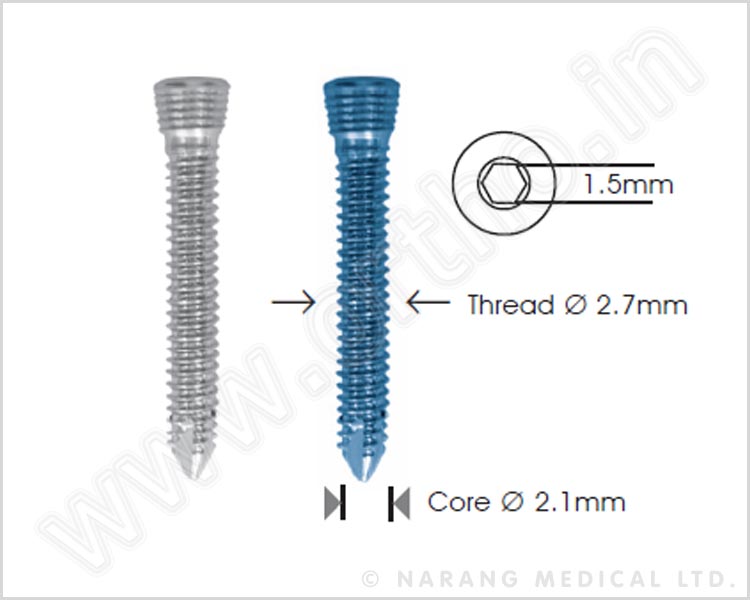 Safety Lock Screw Ø 2.7mm - Self Tapping