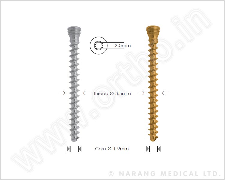 Cancellous Safety Lock Screw Ø 3.5mm - Self Tapping
