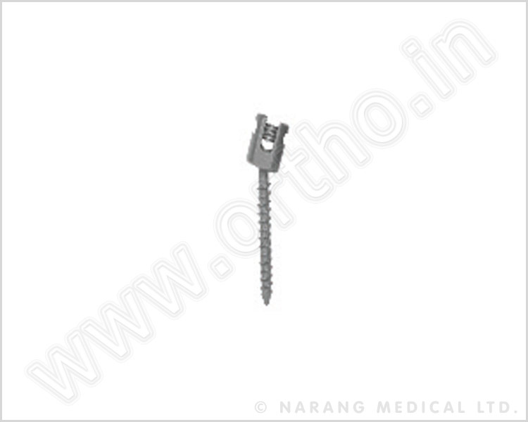 Posterior Cervical Screw - Titanium