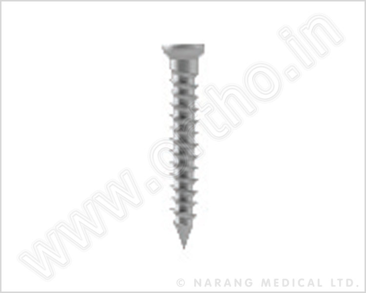Screw For Mini Cervical Plate For Cervical Plate - Titanium