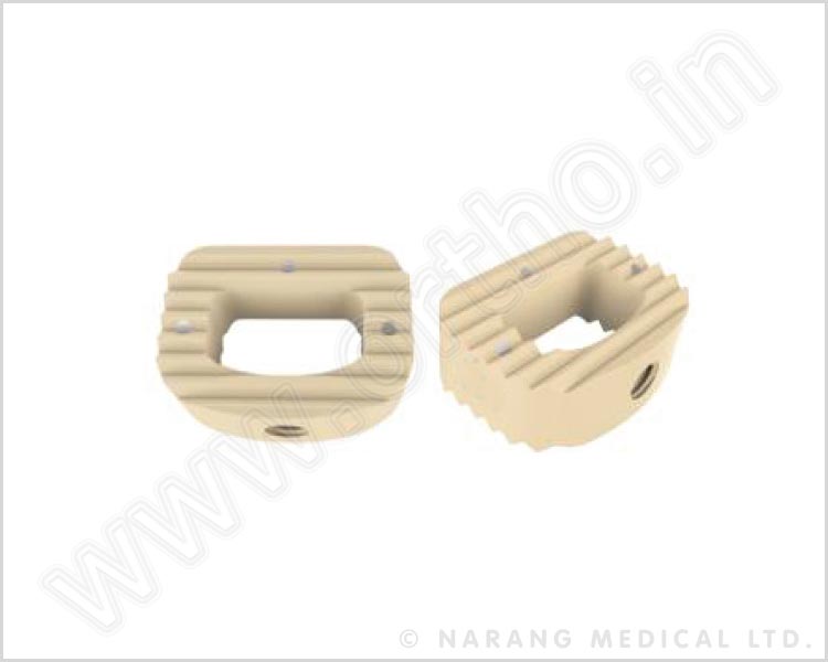 Cervical Cage (Dio Cage) - Peek