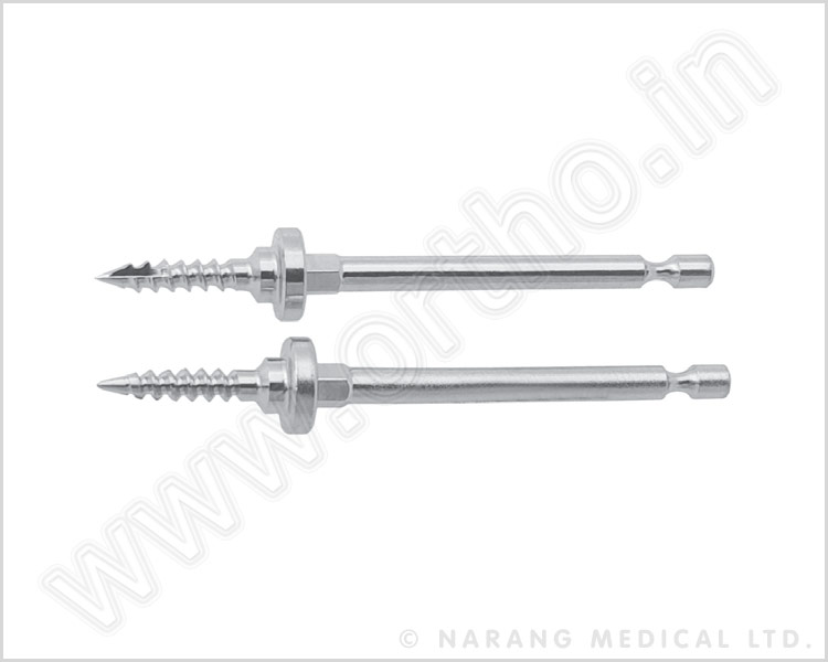 AS1709.055 - Plate Holding Screw